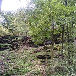 Meet your Posher, Leonel